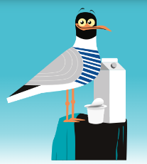 mouette