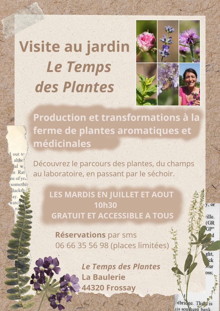 VISITES ETE 002