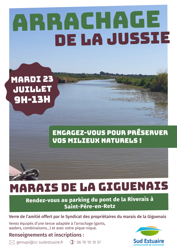 arrachage jussie