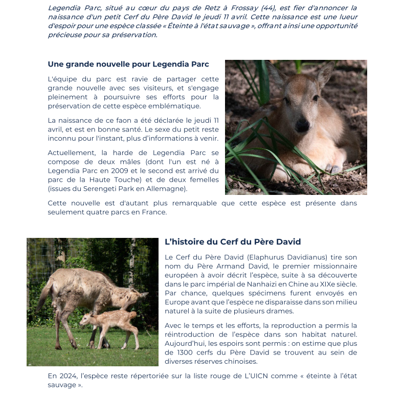 naissance legendia parc